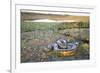 Giant Anaconda (Eunectes Murinus) Hato El Cedral, Llanos, Venezuela-Christophe Courteau-Framed Photographic Print