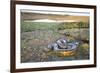 Giant Anaconda (Eunectes Murinus) Hato El Cedral, Llanos, Venezuela-Christophe Courteau-Framed Photographic Print