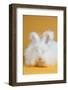 Giant Angora-Lynn M^ Stone-Framed Photographic Print