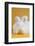 Giant Angora-Lynn M^ Stone-Framed Photographic Print