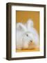 Giant Angora-Lynn M^ Stone-Framed Photographic Print