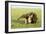 Giant Anteater Carrying Young on Back-null-Framed Photographic Print