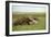 Giant Anteater in the Llanos-null-Framed Photographic Print