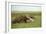 Giant Anteater in the Llanos-null-Framed Photographic Print