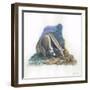 Giant Anteater Myrmecophaga Tridactyla Catching Ants-null-Framed Giclee Print