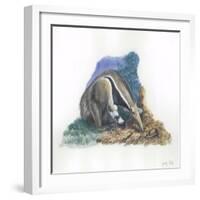 Giant Anteater Myrmecophaga Tridactyla Catching Ants-null-Framed Giclee Print