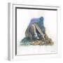 Giant Anteater Myrmecophaga Tridactyla Catching Ants-null-Framed Giclee Print