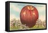 Giant Apple, Shenandoah Valley-null-Framed Stretched Canvas