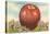 Giant Apple, Shenandoah Valley-null-Stretched Canvas