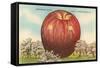 Giant Apple, Shenandoah Valley-null-Framed Stretched Canvas