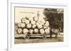 Giant Apples in Mule Cart-null-Framed Art Print