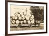 Giant Apples in Mule Cart-null-Framed Art Print