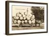 Giant Apples in Mule Cart-null-Framed Art Print