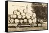 Giant Apples in Mule Cart-null-Framed Stretched Canvas