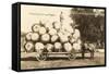 Giant Apples in Mule Cart-null-Framed Stretched Canvas