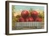 Giant Apples in Rail Car-null-Framed Art Print