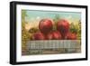 Giant Apples in Rail Car-null-Framed Art Print