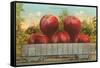 Giant Apples in Rail Car-null-Framed Stretched Canvas