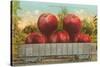 Giant Apples in Rail Car-null-Stretched Canvas