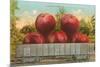 Giant Apples in Rail Car-null-Mounted Premium Giclee Print