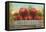 Giant Apples in Rail Car-null-Framed Stretched Canvas