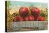 Giant Apples in Rail Car-null-Stretched Canvas