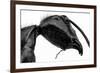 Giant Black Ant-Donald Jusa-Framed Photographic Print