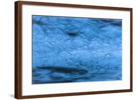 Giant Blue Bubbles-Anthony Paladino-Framed Giclee Print