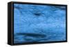 Giant Blue Bubbles-Anthony Paladino-Framed Stretched Canvas