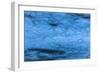 Giant Blue Bubbles-Anthony Paladino-Framed Giclee Print