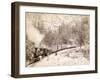 'Giant Bluff' Elk Canyon on Black Hills and Ft. P. Railroad, 1890-null-Framed Photo