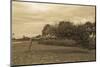 Giant Bonsai Sepia-mce128-Mounted Photographic Print