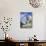 Giant Buddah, Japan-null-Photographic Print displayed on a wall