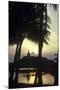 Giant Buddha Statue Seen Through Coconut Palms-null-Mounted Photographic Print