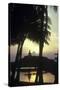 Giant Buddha Statue Seen Through Coconut Palms-null-Stretched Canvas