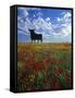 Giant Bull, Toros de Osborne, Andalucia, Spain-Gavin Hellier-Framed Stretched Canvas