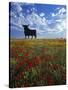 Giant Bull, Toros de Osborne, Andalucia, Spain-Gavin Hellier-Stretched Canvas