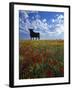 Giant Bull, Toros de Osborne, Andalucia, Spain-Gavin Hellier-Framed Photographic Print