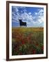 Giant Bull, Toros de Osborne, Andalucia, Spain-Gavin Hellier-Framed Photographic Print