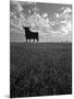 Giant Bull, Toros de Osborne, Andalucia, Spain-Gavin Hellier-Mounted Photographic Print