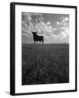 Giant Bull, Toros de Osborne, Andalucia, Spain-Gavin Hellier-Framed Photographic Print