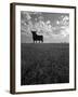 Giant Bull, Toros de Osborne, Andalucia, Spain-Gavin Hellier-Framed Photographic Print