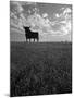 Giant Bull, Toros de Osborne, Andalucia, Spain-Gavin Hellier-Mounted Photographic Print