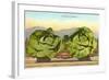 Giant Cabbages on Flatbed-null-Framed Art Print