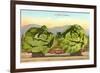 Giant Cabbages on Flatbed-null-Framed Art Print