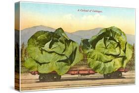 Giant Cabbages on Flatbed-null-Stretched Canvas