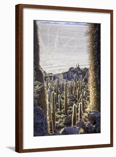 Giant Cactus Island Salar De Uyuni Bolivia Car Tracks in Salt-kikkerdirk-Framed Photographic Print