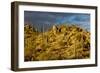 Giant Cactus or Saguaro-null-Framed Photographic Print