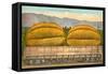 Giant Cantaloupe in Rail Car-null-Framed Stretched Canvas