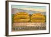 Giant Cantaloupe in Rail Car-null-Framed Art Print